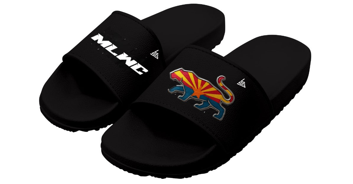 MLWC Wrestling Slides