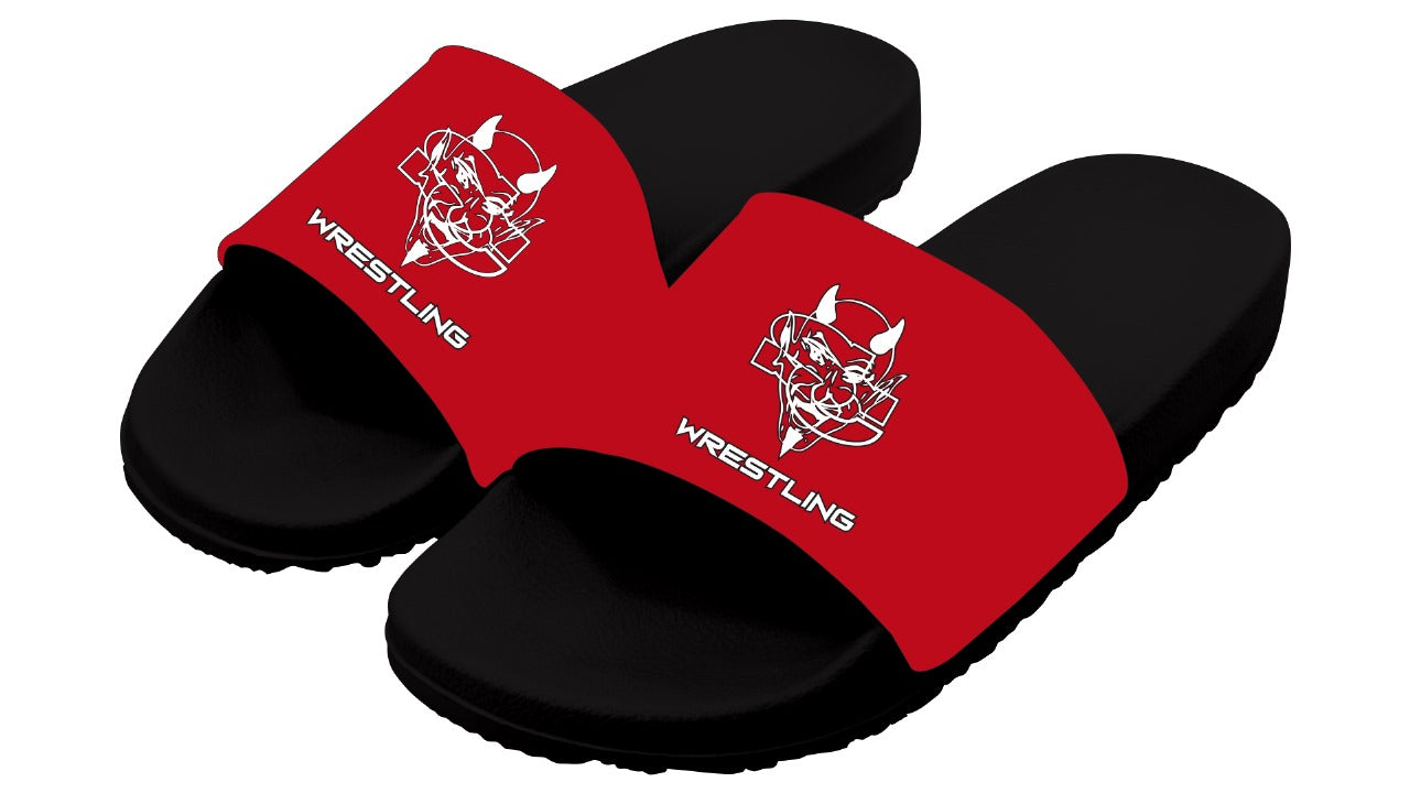 Santa Cruz Wrestling Slides